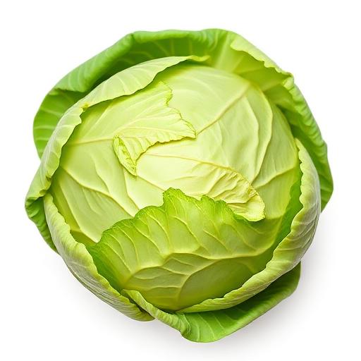 ملفوف