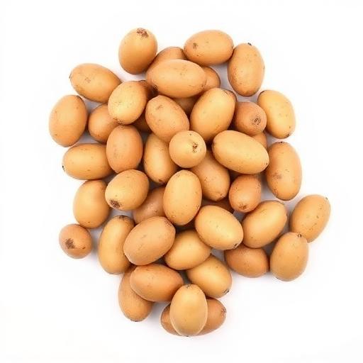 بطاطا